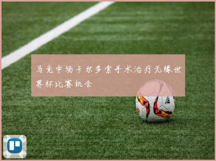 马竞中场卡尔多索手术治疗无缘世界杯比赛机会