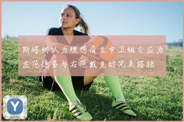 斯塔姆认为理想荷兰中卫组合应为左范德芬与右范戴克的完美搭档
