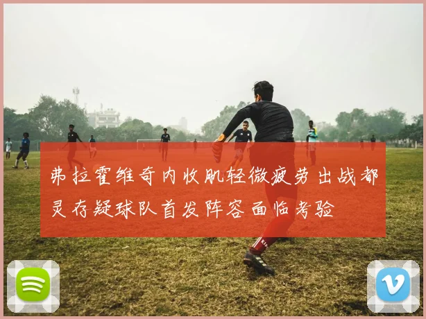 弗拉霍维奇内收肌轻微疲劳出战都灵存疑球队首发阵容面临考验