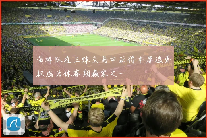 黄蜂队在三球交易中获得丰厚选秀权成为休赛期赢家之一